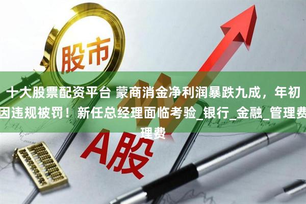 十大股票配资平台 蒙商消金净利润暴跌九成，年初因违规被罚！新任总经理面临考验_银行_金融_管理费