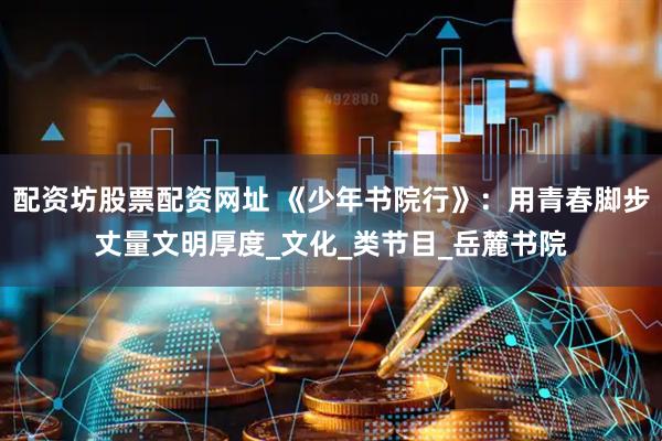 配资坊股票配资网址 《少年书院行》：用青春脚步丈量文明厚度_文化_类节目_岳麓书院